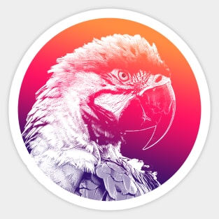 Colorful Macaw Parrot Sticker